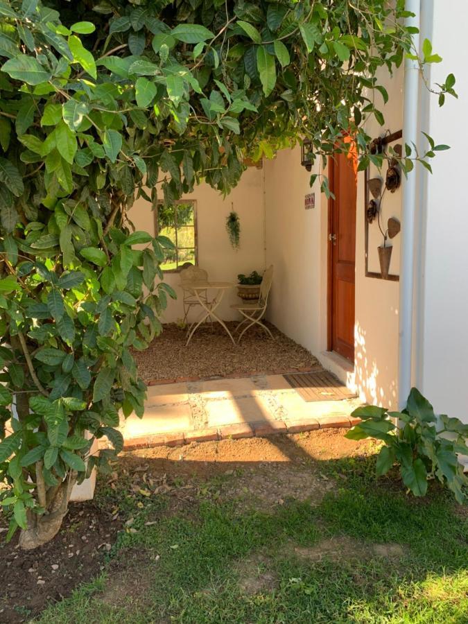 Happy Lands Farmstay Addo Dış mekan fotoğraf